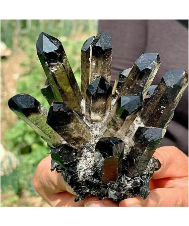 Natural Crystal Rough Crystals 1pc Black Phantom Quartz Crystal Cluster (Size : 900-1000g) - Buy Online on SooperMarket.com