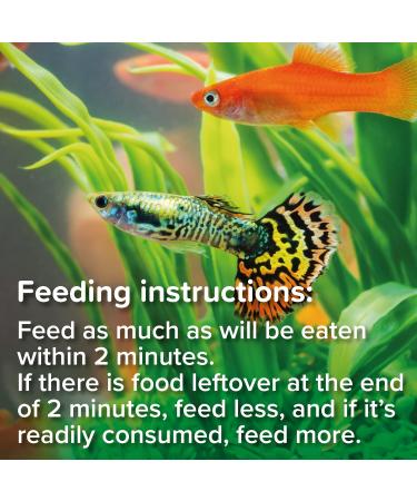 King British | Bloodworm Treats | For All Coldwater Tropical & Marine Fish Turtles & Terrapins | High Protein & Iron | Provides Excellent Colour & Condition | Complementary Treats | 7g Single - Buy Online on SooperMarket.com