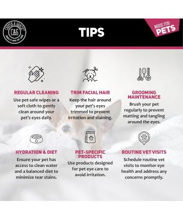 Dog Eye Wipes | Tear Stain Remover For Dogs Eyes | Remove Dog Eye Crust & Eye Discharge | Biodegradable Pre-soaked Textured | Safe & Easy Cleaning For Dogs & Cats | Pack Of 100 - Buy Online on SooperMarket.com