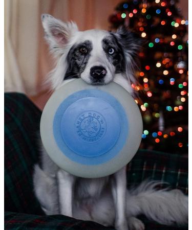 Planet Dog Orbee-Tuff Zoom Flyer Disc Glow-In-The-Dark Dog Fetch Toy Large Glow/Orange Large - Buy Online on SooperMarket.com
