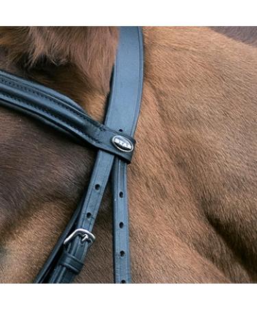 Buy Star Waldhausen Bridle Hannover Black Pony Premium Quality Equestrian Gear for International Shipping - Buy Online on SooperMarket.com