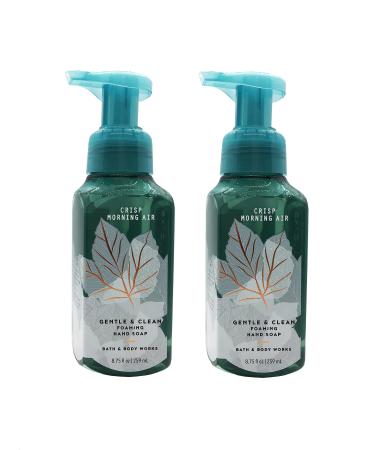Bath & Body Works Crisp Morning Air Gentle Foaming Hand Soap (2 Pack)