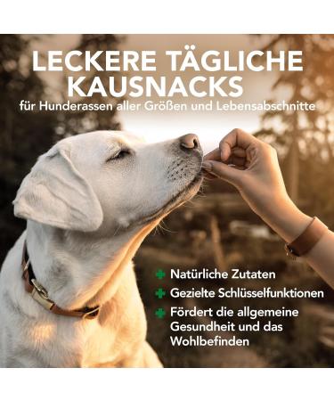 Vets Best Daily Soft Chews for Adult Dogs - 180 Chews | Premium Dog Supplements - International Shipping Available - Buy Online on SooperMarket.com