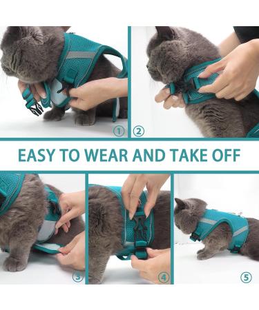 Premium Cat Dishes with Leash | Reflective Cat Patrol Gear for Safe Adventures - Buy Online on SooperMarket.com
