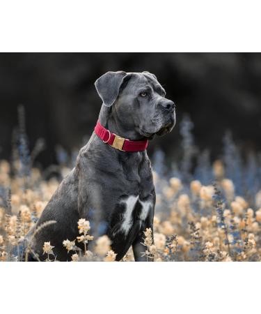 YUDOTE Ultra-Soft Natural Cotton Dog Collar for Small Dogs with Sensitive Skin - Red S (1 Pack) - Gentle Durable Stylish - Buy Online on SooperMarket.com