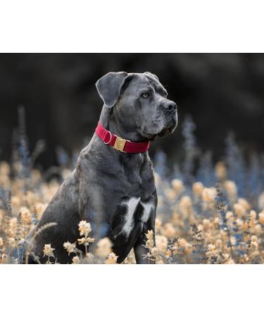 YUDOTE Ultra-Soft Natural Cotton Dog Collar for Large Dogs with Sensitive Skin Red L (1 Pack) | International Shipping Available - Buy Online on SooperMarket.com