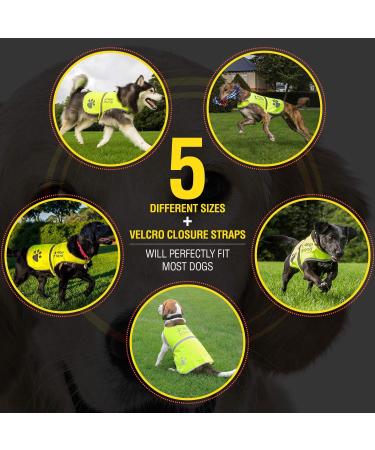 Yellow Reflective Dog Safety Vest with Leash Hole - High Visibility for Outdoor Activities | 4LegsFriend (X-Small) - Buy Online on SooperMarket.com