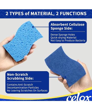 CELOX 12 Pack Non-Scratch Dual Sided Dish Sponges for Dishes - Long Lasting and Reusable Kitchen Cleaning Sponges - Buy Online on SooperMarket.com