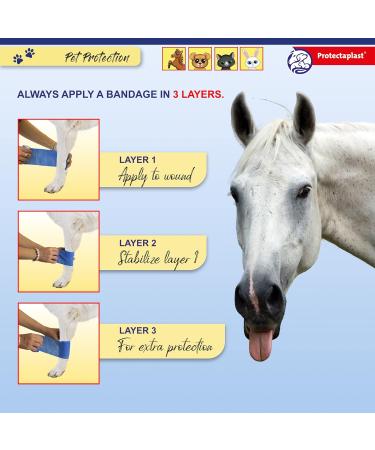 Protectaplast Self-Adhesive Blue Bandage for Pets | Latex-Free & Glue-Free 6cm x 2m | Ideal for Dogs Cats & Horses - Wound & Joint Dressing - Buy Online on SooperMarket.com