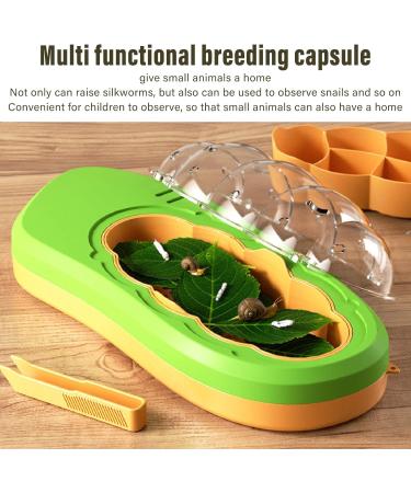 Observation Box Baby Silkworm Shape Silkworm Rearing Bucket Mesh Hole Design Multifunctional Educational for Reptiles (Green) - Buy Online on SooperMarket.com