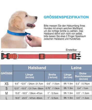 Haapaw Reflecting Dog Collar - Padded Neoprene Breathable Nylon for Small & Medium Dogs - Red (M 1-Pack) - Buy Online on SooperMarket.com