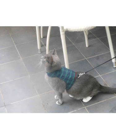 Mynwood Cat Jacket/Harness Black Watch Tartan Adult Cat