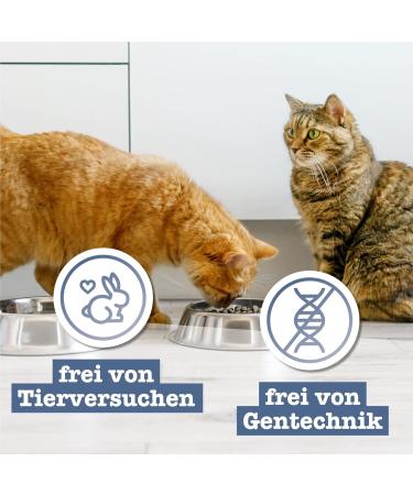 Catz Finefood MEATZ CATTIONS Strauss N 17 - 100% Ostrich Meat Cat Snack - Grain-Free Sugar-Free Ideal for Allergies (45g) - Buy Online on SooperMarket.com