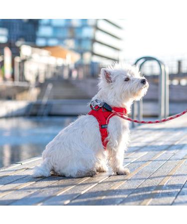 DOG Copenhagen Comfort Walk Go Dog Harness - Hunting Green XS | Best International Shipping Available - Buy Online on SooperMarket.com