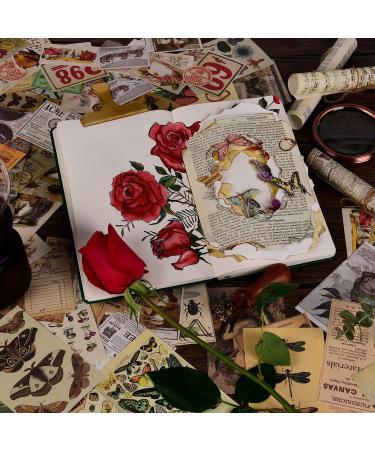 ANERZA 531 PCS Vintage Scrapbooking Supplies Stickers  Aesthetic Scrapbook Paper Art Journaling Kit for Bullet Journals  Ephemera for Junk Journal  Washi Stickers  Cottagecore Decoupage for Adults - Buy Online on SooperMarket.com