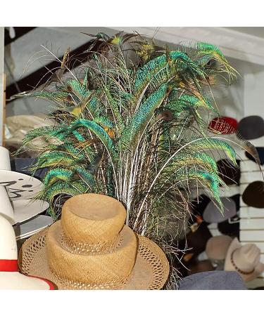 20 Pcs Real Natural Peacock Feathers Bulk Set - Multicolored DIY Craft & Wedding Decoration - Buy Online on SooperMarket.com