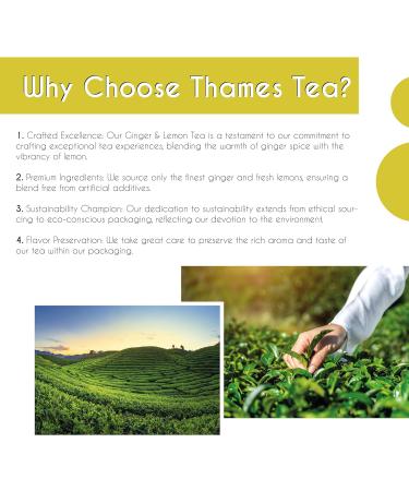 Thames Tea Tubebox - Premium Flavoured Loose Leaf Fruit & Herbal Tea for a Luxury British Experience: Ginger & Lemon Tea - Buy Online on SooperMarket.com
