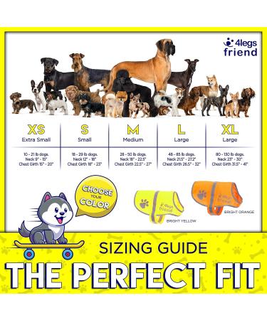 4Legriend Yellow Reflective Safety Vest for Dogs - 2 Pack Small | Keep Your Dog Visible & Safe from Cars & Hunting Accidents - Buy Online on SooperMarket.com