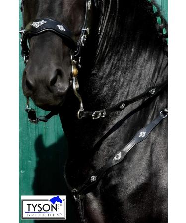 Jose Breastplate Show | Portuguese Spanish Leather Black Brown | Tysons VB WB XF XXF Calfblood - Buy Online on SooperMarket.com