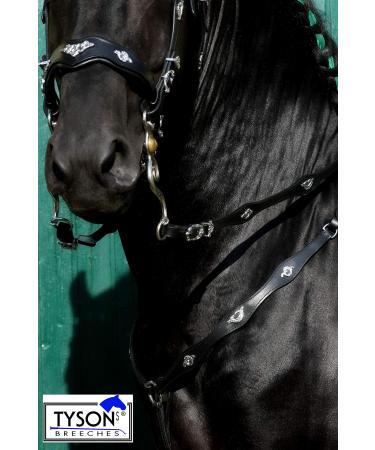 Jose Breastplate Show Portuguese Spanish Black Brown Tysons VB WB XF XXF Calfblood (XX Full Black) XX Full Black