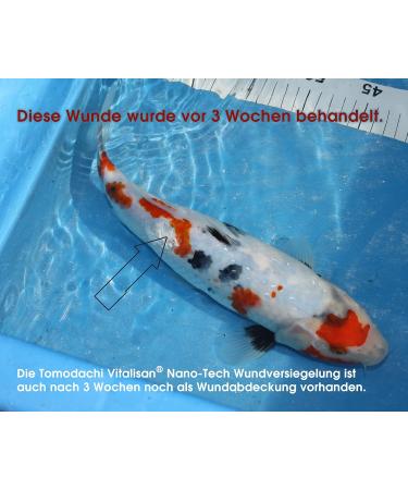 Tomodachi Waterproof Antibacterial Wound Seal for Koi | Vitalisan Nanobased Wound Care - 100g Can - Buy Online on SooperMarket.com