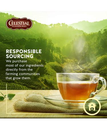 Celestial Seasonings Black Cherry Berry Herb Tea - 20-count (Pack of 6) - Buy Online on SooperMarket.com