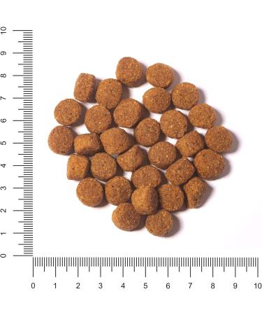 Buy The Hunger of the Wolf Dog Food - Adult & Sterilized Dogs Chicken Light Formula 3 kg All Breeds - International Shipping Available - Buy Online on SooperMarket.com