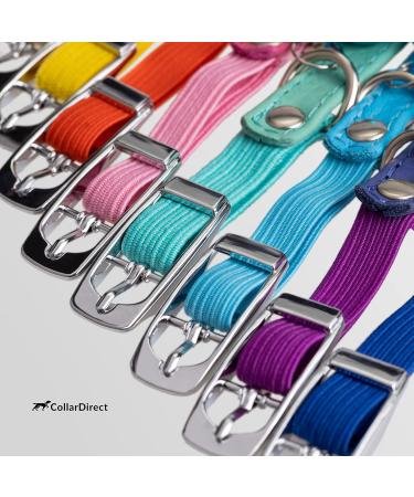 Collardirect Leather Cat Neck Band - Safety Collar with Elastic Belt & Bell | Adjustable 23-28 cm | Available in Black Blue Red Orange Green Pink - Buy Online on SooperMarket.com