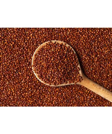 Organic Red Quinoa 1.5 lbs - Ancient Whole Grain Seeds | Raw, Sproutable, Kosher, Vegan | Sirtfood | Bulk Supply | Essential Amino Acids & Minerals | Quick-Cooking | Ideal for Salads - Buy Online on SooperMarket.com
