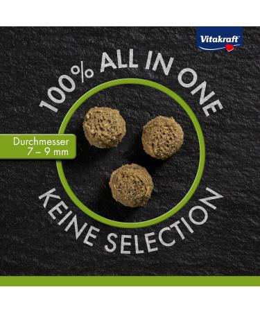 Vita Power Vita Special Junior Feed for Young Dwarf Rabbits - 600g | Herbal & Grass Blend for Optimal Digestion No Sugar or Grains - Buy Online on SooperMarket.com