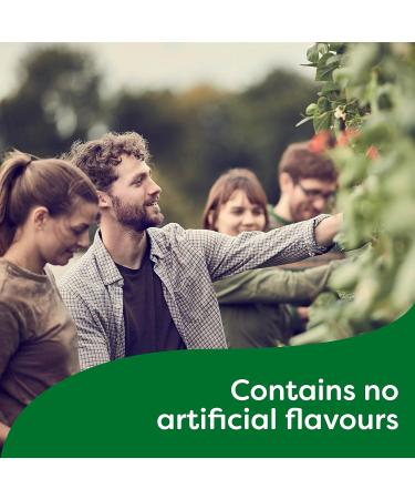 Knorr Pasta Sauce Mix for a Rich and Creamy Pasta Sauce Alfredo no Artificial Flavours 37 g Pack of 24 - Buy Online on SooperMarket.com