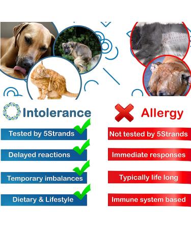 5Strands Pet Food and Environmental Intolerance Test | Home Sensitivity Kit for Dogs & Cats | Hair Sample Collection | 380 Items Tested | Results in 7 Days - Buy Online on SooperMarket.com
