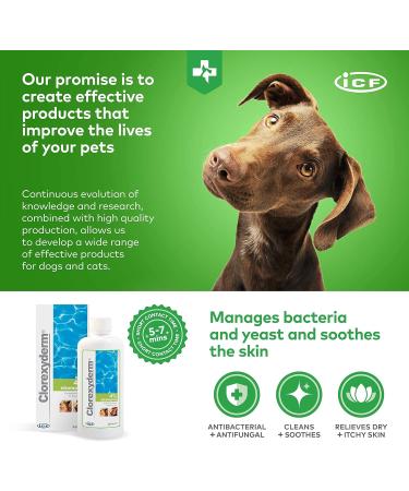 ICF Clorexyderm Shampoo 4% for Dogs & Cats - 250 ml | Best International Shipping - Buy Online on SooperMarket.com