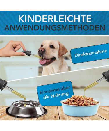 Buy Vitamin B Complex for Dogs 100ml | All B Vitamins Included | Innovative Drops Formula | Made in Germany - Buy Online on SooperMarket.com