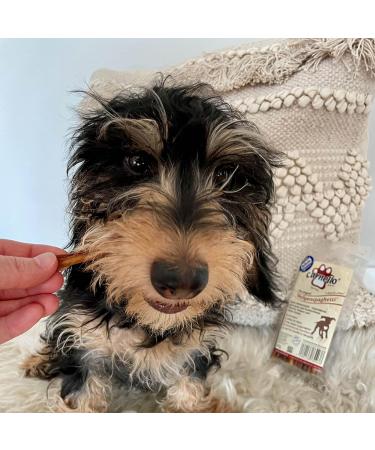 Carnello Hundeleckerli for Small Dogs - Grain-Free Puppy Spaghetti Treats | Healthy Dog Snacks (4 x 30g Pack) - Buy Online on SooperMarket.com
