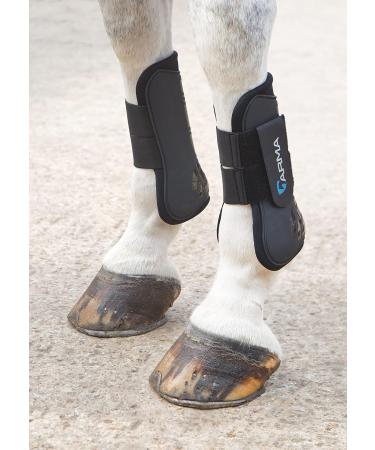 Shires Arma Tendon Boots Black Cob - Buy Online on SooperMarket.com