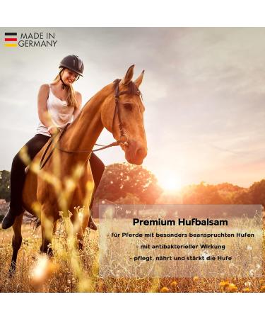 Gustav Optenplatz Premium Hufbalsam for Horses | Daily Hoof Care & Healthy Growth | 500ml Huffett & Ointment Against Cracked Hooves - Buy Online on SooperMarket.com