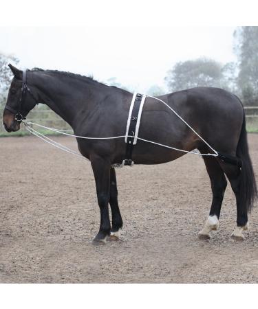 Shires Lunging Aid One Size Black