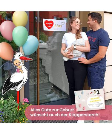 Gl cksgut Rattierorch Baby Pink 100 cm | 5-Part Birth Stork Set with Name Tag Greeting Card & Pen | Perfect Birth Gift for Baby Girls | Indoor & Outdoor Decoration - Buy Online on SooperMarket.com