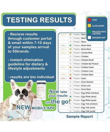 5Strands Pet Food and Environmental Intolerance Test | Home Sensitivity Kit for Dogs & Cats | Hair Sample Collection | 380 Items Tested | Results in 7 Days - Buy Online on SooperMarket.com