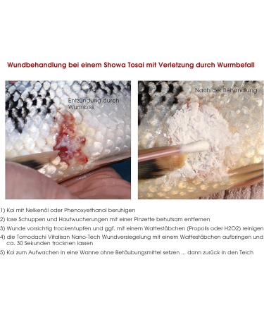 Tomodachi Waterproof Antibacterial Wound Seal for Koi | Vitalisan Nanobased Wound Care - 100g Can - Buy Online on SooperMarket.com