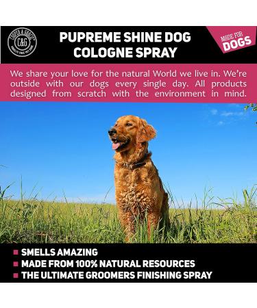 Detangling Dog Perfume Spray 250ml | Leaves Dog Coat Detangled and Super Shiny | A Great Long Lasting Dogs Hypoallergenic Grooming Cologne | Citrus Eucalyptus Lemongrass Essential Oils Scents - Buy Online on SooperMarket.com