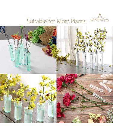 Beadnova 2.8 Flower Water Tubes - 60 Clear Plastic Floral Vials for Flower Arrangement and Decoration - Buy Online on SooperMarket.com