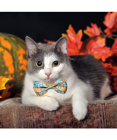 Fall Bow Tie Pumpkin Cat Collar Set with Bell | Autumn Thanksgiving Harvest Holiday Collar for Cats | Pumpkin Patch Design for Boys and Girls - Buy Online on SooperMarket.com
