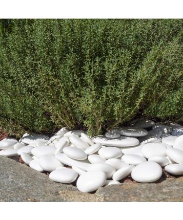 Kalapanta - Large size recycled plastic decorative pebbles for pots paint aquariums garden mini pack rock painting white (5-8cm) | Mini-pack - Buy Online on SooperMarket.com