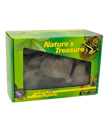Lucky Reptile DB-01 Nature's Treasure Decor Box