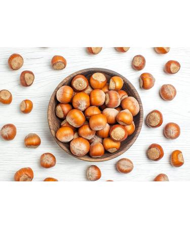 Organic Dry Roasted Blanched Hazelnuts 4 lbs - Non-GMO, Himalayan Salt, Vegan Snack - Kosher, Bulk Filberts - Buy Online on SooperMarket.com