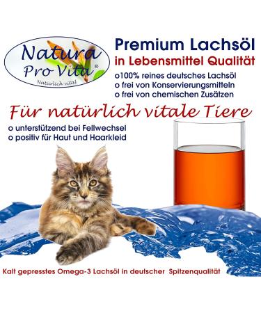 Premium Cold-Pressed Salmon Oil for Cats - Omega-3 Fish Oil for Healthy Skin & Fur | 3L Glass Bottle (3x1L) - Natural BARF Diet Supplement - Buy Online on SooperMarket.com