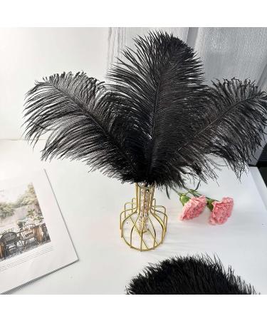 Pioio 20pcs Black Ostrich Feathers Plumes 12-14 inch - Ideal for DIY Halloween & Gatsby Decorations - Buy Online on SooperMarket.com