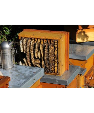 Buy ImkerPur ORGANIC Honeycomb (Acacia/White Robinia) 400g - Food-Safe Freshness Box - International Shipping Available - Buy Online on SooperMarket.com